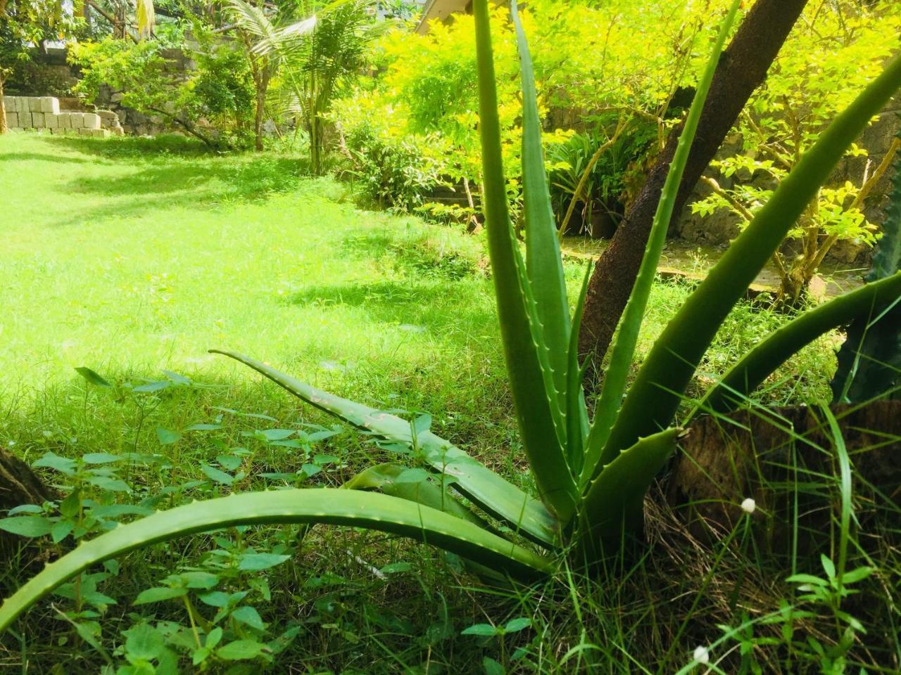 Ganesh House Homestay Kovalam Bagian luar foto