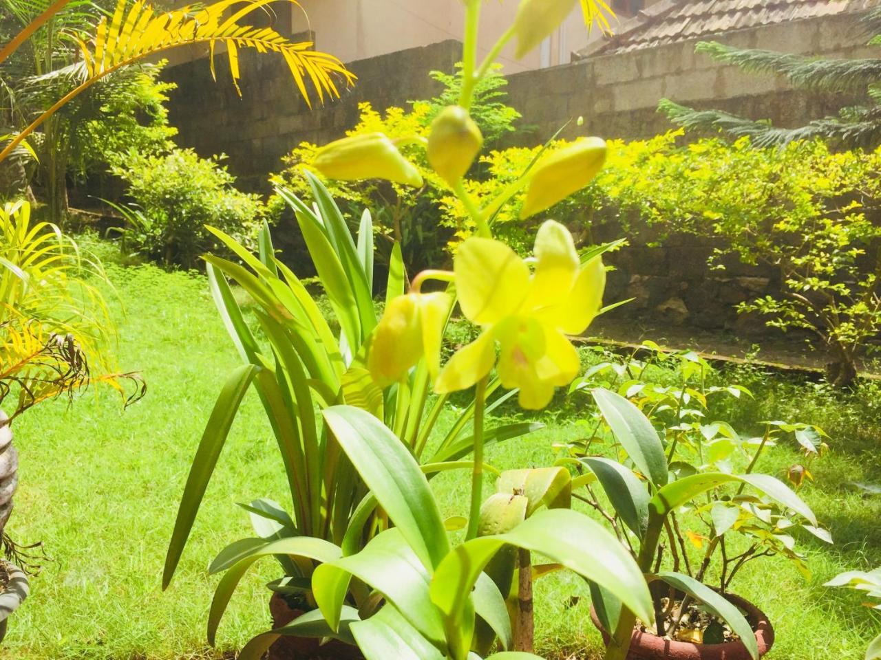 Ganesh House Homestay Kovalam Bagian luar foto